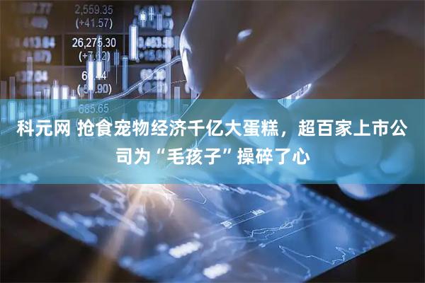 科元网 抢食宠物经济千亿大蛋糕，超百家上市公司为“毛孩子”操碎了心