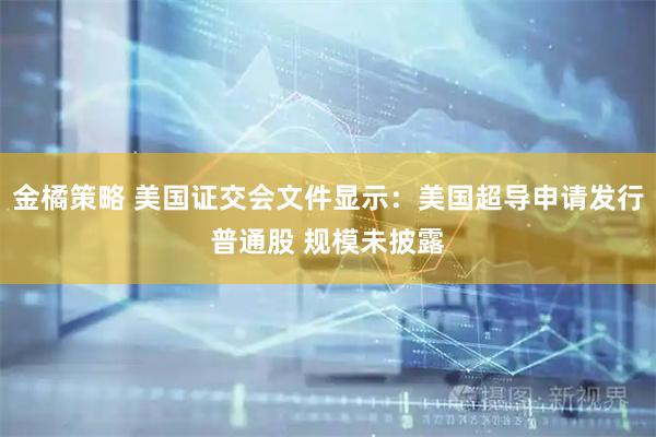 金橘策略 美国证交会文件显示：美国超导申请发行普通股 规模未披露