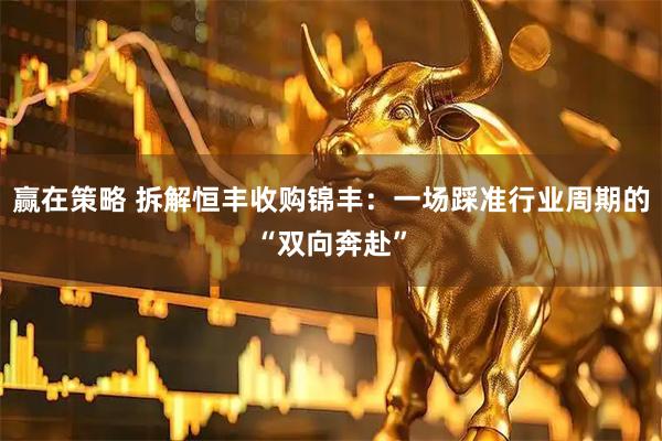 赢在策略 拆解恒丰收购锦丰：一场踩准行业周期的“双向奔赴”